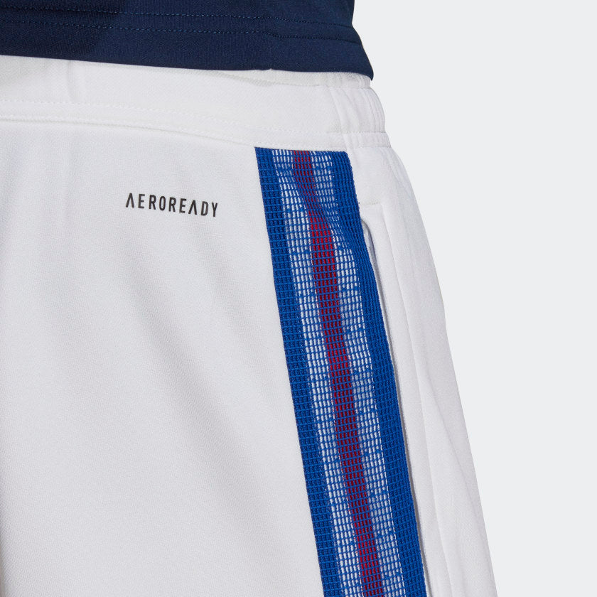 Adidas Tiro 21 Training Pant (White & Blue)