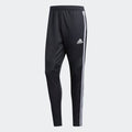 Adidas Tiro 19 Training Pant
