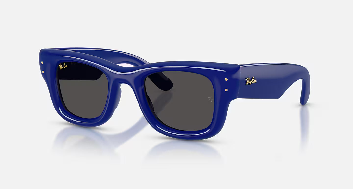 Ray ban x asap rocky wayfarer
