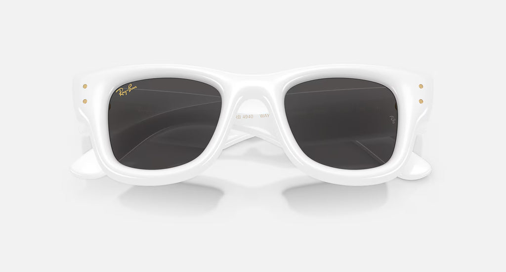Ray ban x asap rocky wayfarer