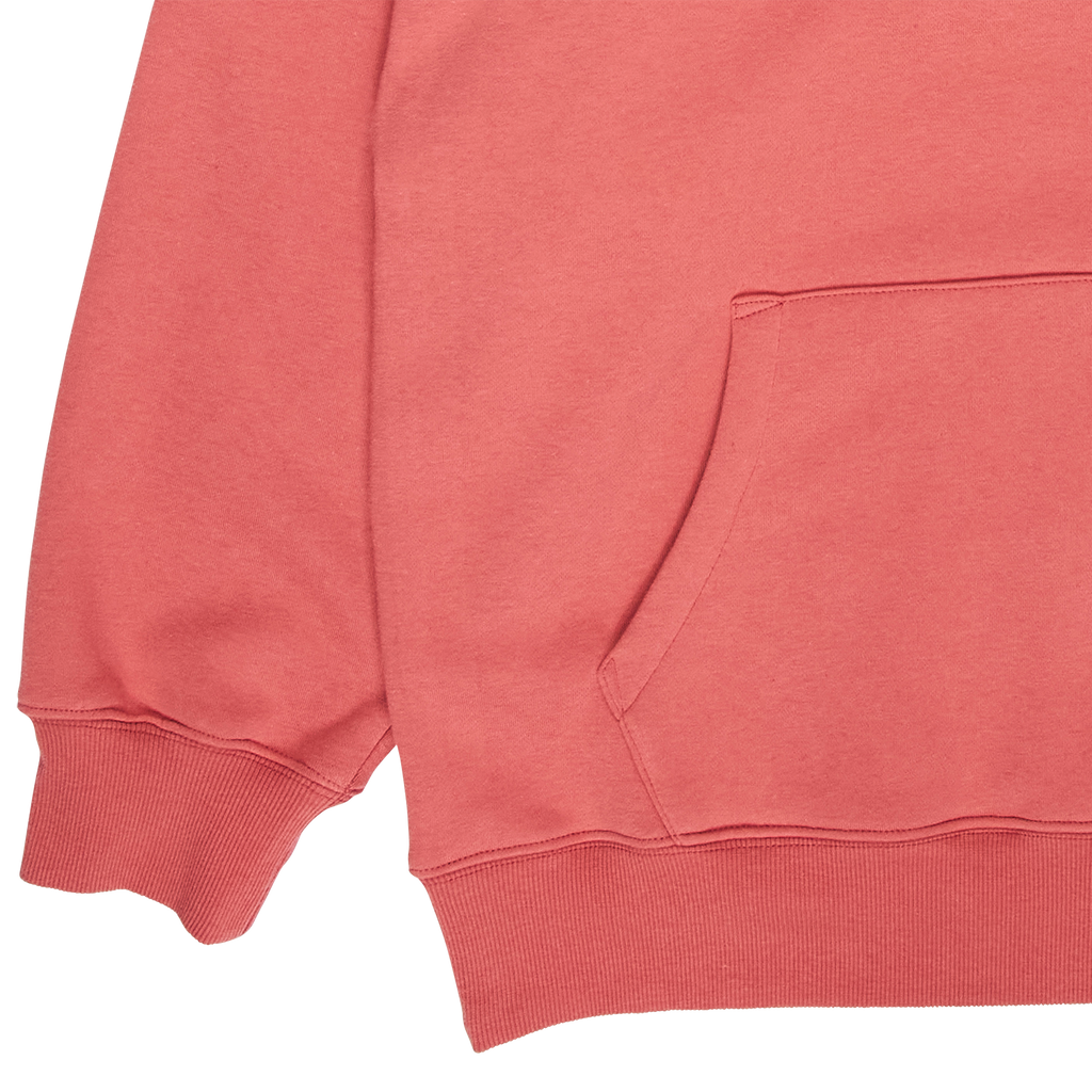 Pleasures Film Hoody
