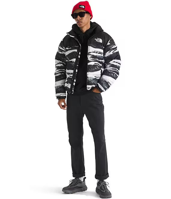 the north face 1996 nuptse print