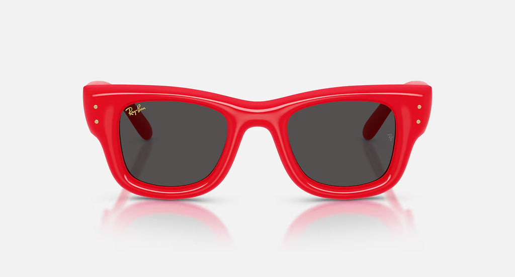 Ray ban x asap rocky wayfarer puffer