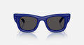Ray ban x asap rocky wayfarer