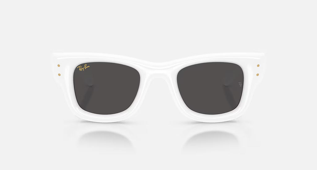 Ray ban x asap rocky wayfarer