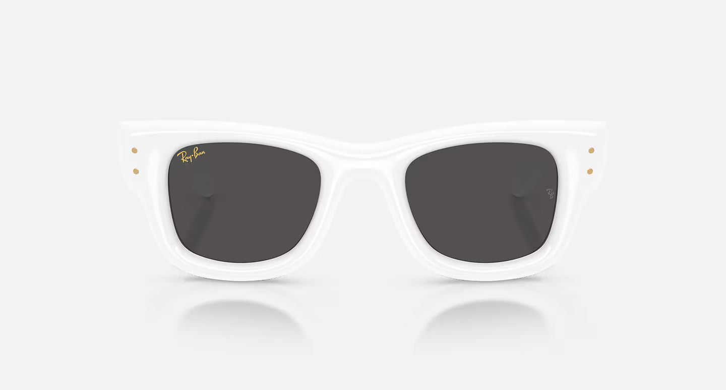 Ray ban x asap rocky wayfarer