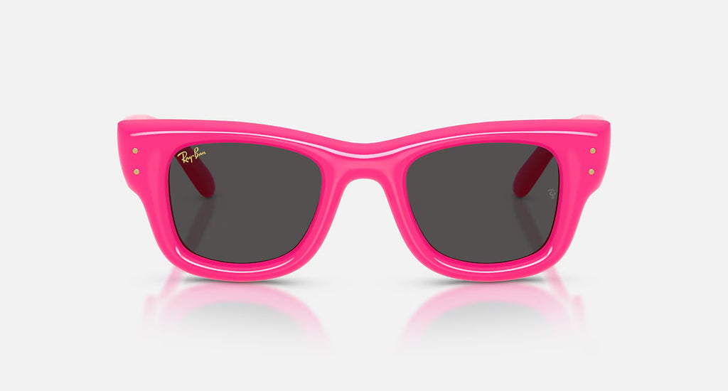 Ray ban x asap rocky wayfarer puffer
