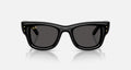 Ray ban x asap rocky wayfarer