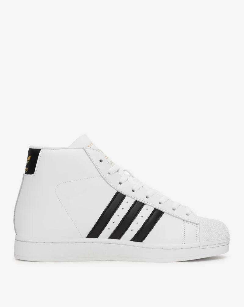 Adidas pro model