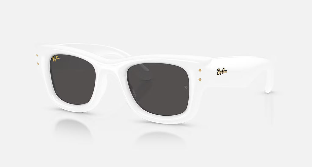 Ray ban x asap rocky wayfarer