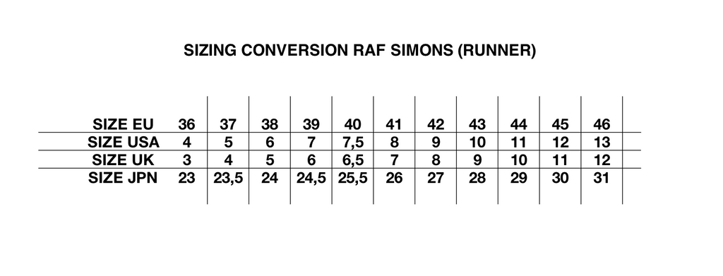 Raf Simons (RUNNER) Cylon-21 Silver